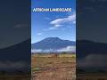 Elephants with views of Mt. Kilimanjaro. #shortsafrica #yearofyou #mtkilimanjaro #amboseli