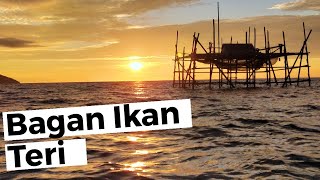 Begini Proses menangkap Ikan Teri di Bagan Ikan Teri Pulau Kabung