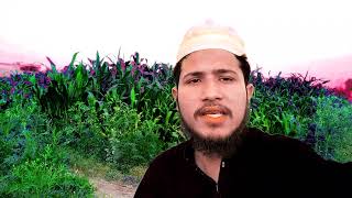 🔷 Engineer muhammad ali mirza Arrested ? | Mirza Jehlmi ko 295 C@EngineerMuhammadAliMirzaClips