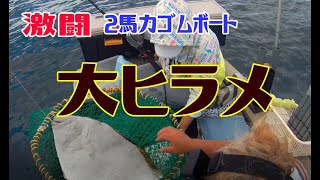 【北海道釣り】今年クロマグロ釣った海域で　激闘大ヒラメ    bigfish in japan