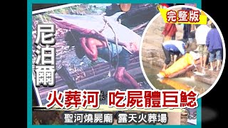 【尼泊爾】聖河燒屍廟 火葬河攻擊人類巨型鯰魚 直擊露天火葬場(廓爾喀傭兵/最大印度廟/殘酷修行苦行僧 /塔美爾背包區 神佛面具街)｜《世界第一等》512集完整版SD