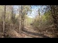 narnala wildlife sanctuary wildlife wildlifeanimals youtubevideo tiger