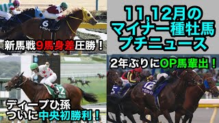 【約3分で分かる】11,12月のマイナー種牡馬プチニュース