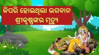 କିପରି ହୋଇଥିଲା ଭଗବାନ ଶ୍ରୀକୃଷ୍ଣଙ୍କ ମୃତ୍ଯୁ? ଜାଣିଛନ୍ତି କି ଏହି ସତ୍ଯତା ।। #viralvideo #odiastory