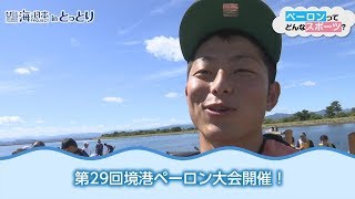 第29回境港ペーロン大会 日本財団 海と日本PROJECT in とっとり 2018 #17