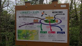 高尾山登山　3号路　【4K対応】