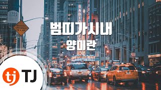 [TJ노래방] 범띠가시내 - 양미란 / TJ Karaoke