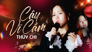 CÂY VĨ CẦM - THÙY CHI live at #Lululola