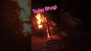 Today Bhogi