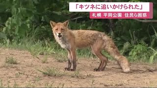 「ワンワン吠えながら向かってくる」\