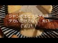 【閉業】ジャンボエビフライとチーズハンバーグ！！　民芸レストラン　盛よし（長野県松本市）