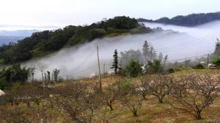 【苗栗】三義雲海 縮時攝影