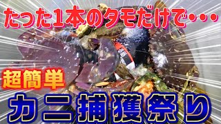 【ワタリガニ】夏の夜のガサガサカニ捕獲2人ピクニック～【ガザミ】