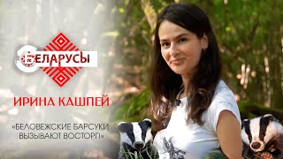 «Беловежские барсуки – восторг!» Эколог о Национальном парке и его обитателях