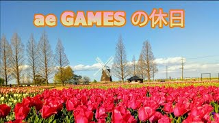 ae GAMES の休日 「あけぼの山農業公園へチューリップ🌷を見にいってみた♬」 #チューリップ #風車 #あけぼの山農業公園 #aeGAMES