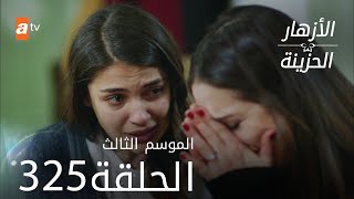 مسلسل الأزهار الحزينة | الحلقة 325 - الموسم الثالث