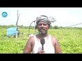 గుమ్మడి కాయ సాగు లాభాలు నష్టలు.. gummadi kaya cultivation profit u0026 loss pumpkin farming i dream