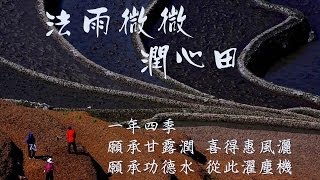 葉葉拂心/法雨微微潤心田單元/許願神燈下集