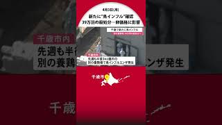 新たに鳥インフル 約39万羽の殺処分開始 卵の価格へ影響か　3月末とは別の養鶏場で…北海道千歳市