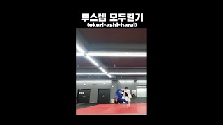 투스텝 모두걸기(okuri-ashi-barai) #shorts