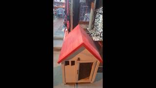 Amazing Kitten Cat Pet House | Cat Bed | Ultimate DIY cat tree | scratching posts
