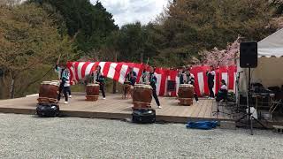 2018年4月8日 かみかわ桜の山 桜華園 さくらまつり