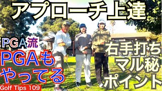 PGA選手達が盛んに行う右手打ちアプローチのマル秘ポイントを長男、次男に聞きながら解説、練習していきます。ゴルフ上達に必須な右手打ちにゴルフの基本が詰まってます【54Golf Tips  星野 豪史】