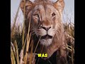 why mufasa the lion king s reviews have been largely negative ... shorts