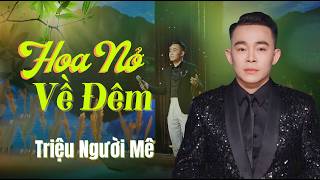 Hoa Nở Về Đêm - Lê Cường | Giọng Ca Vàng | Saigon By Night 02