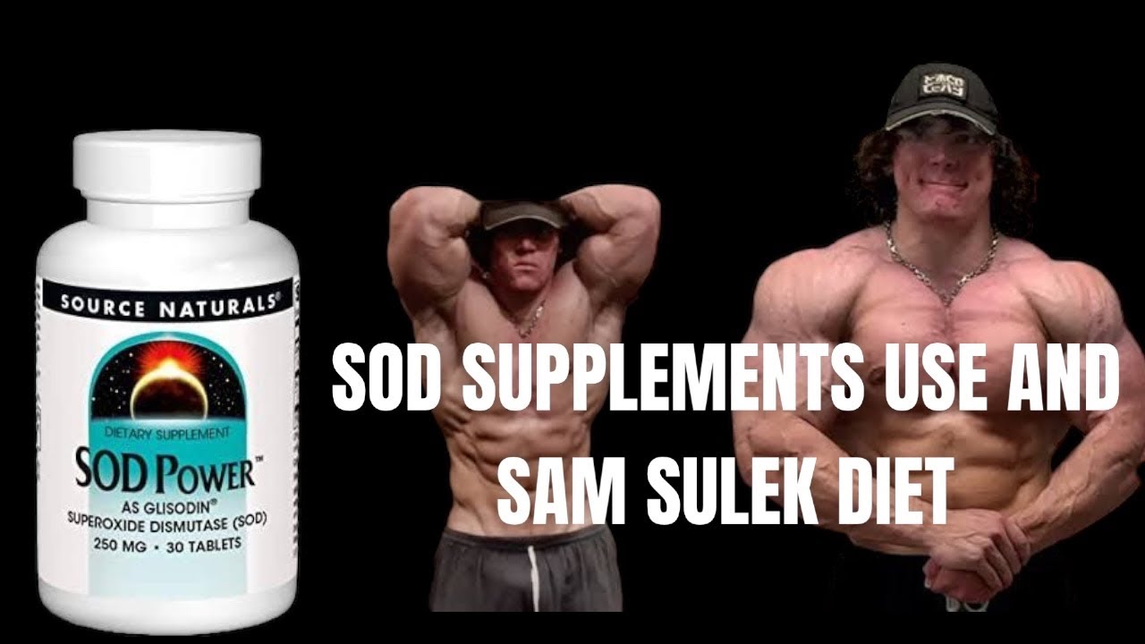 Sod Supplements Use Sam Sulek Diet Back Biceps Workout Day 10