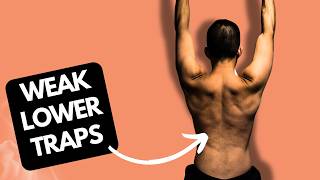 Upper Shoulders Overactive? How to Fix Upper Trapezius Engagement