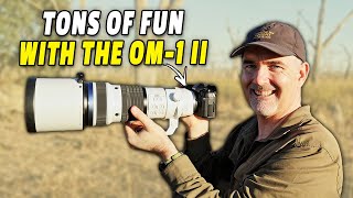 BETTER THAN EXPECTED! CRACKING COMBO! - OM-1 II + ED150-400mm