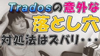 【特許翻訳】CATツール Tradosで翻訳！Tradosの強みと課題