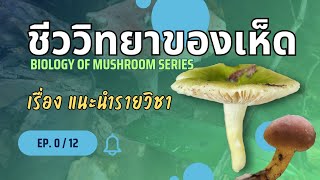 วิชาเห็ด'2018 Ep.00 แนะนำหัวข้อในรายวิชาชีววิทยาของเห็ด #เห็ด #วิชาเห็ด #จุลชีววิทยา #mushroom