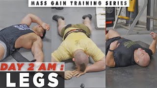 RP Mass Gain Training Series | Tuesday AM: Legs