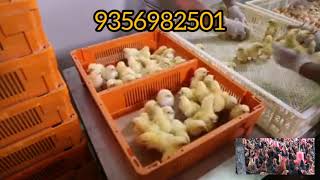 Sonawane Poultry Pvt. Ltd.