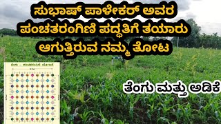 ನಮ್ಮ ತೋಟದಲ್ಲಿ ಸುಭಾಷ್ ಪಾಳೇಕರ್ ಪಂಚತರಂಗಿಣಿ ಕೃಷಿ | How We Implemented Subhash Palekar's 5 layer forming