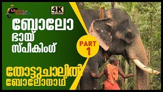 Elephant having good contact with police|പോലീസിലോക്കെ പിടിപാടുള്ള ആന|Thottuchalil Bolonath|EPI 41