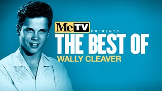 MeTV Presents the Best of Wally Cleaver