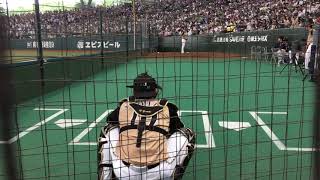 日本ハムファイターズ 宮西投手 ブルペン 2018 5月