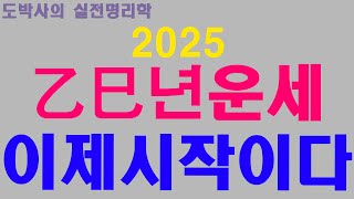 2025년 을사년운세  - 이제시작이다 -