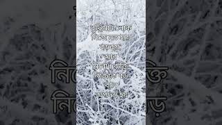 বুদ্ধিমান লোক || বুদ্ধিমান লোক