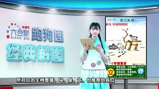 第233期 --【新澳门跑狗图】西施带你一一解图，紧跟西施的精准解码😎✨