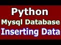 Python Mysql Database Inserting Data #28