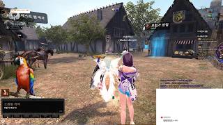 마비노기 영웅전(마영전) 라지실드 피오나(햄오나) 플레이 영상 // Vindictus large shield Fiona hammer play // 20190205