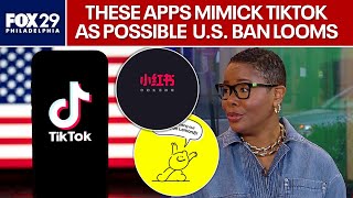 TikTok Ban: Tech experts breaks down alternative apps as U.S. ban looms