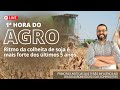 🌱 1ª Hora do Agro # 159 - Ritmo da colheita de soja é mais forte dos últimos 5 anos