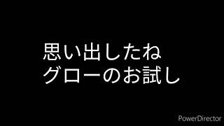 無料体験を申し込んでみた「glo hyper」