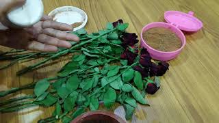 गुलाब की कलम लगाए एक आसान तरीके से | Its Care and Propagation Tips in Hindi गुलाब की कलम लगाए एक आसान तरीके से | Its Care and Propagation Tips in Hindi