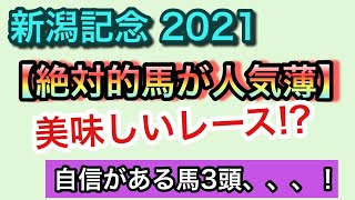 新潟記念 2021【狙うべき馬1頭!!】このレースは、、、いける!?【競馬予想】